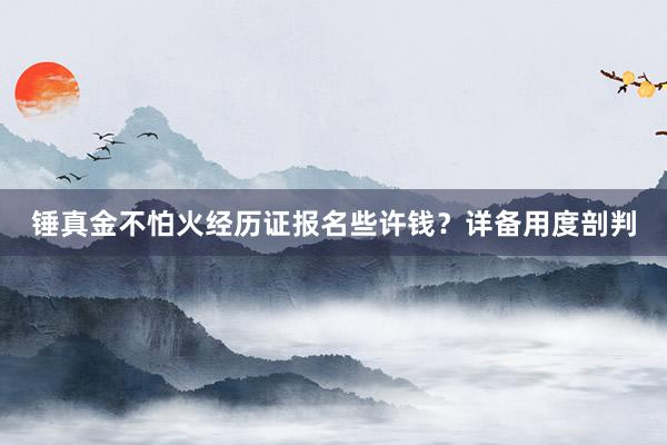 锤真金不怕火经历证报名些许钱？详备用度剖判