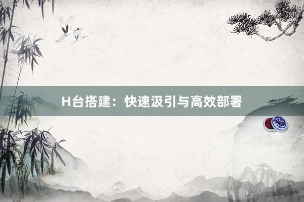 H台搭建：快速汲引与高效部署