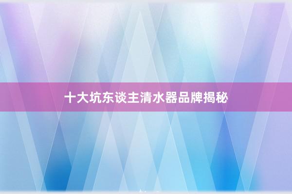 十大坑东谈主清水器品牌揭秘