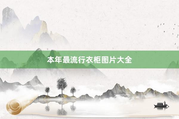 本年最流行衣柜图片大全