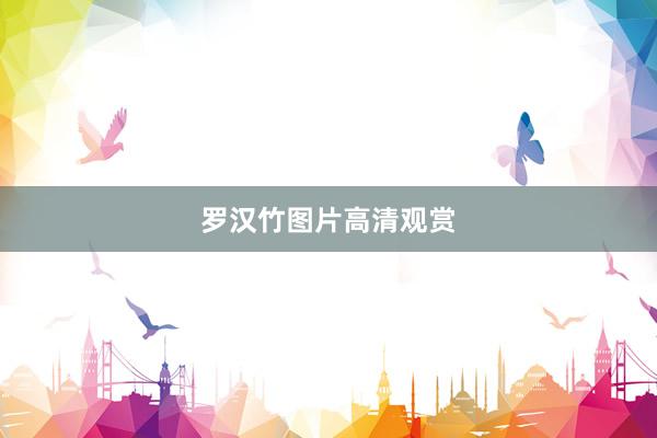 罗汉竹图片高清观赏