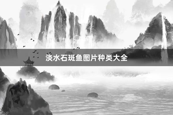 淡水石斑鱼图片种类大全